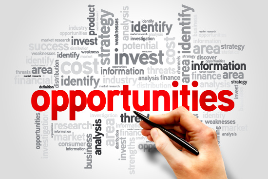 Exelom Opportunity Evaluation Solution